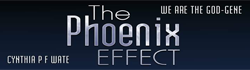 company logo here